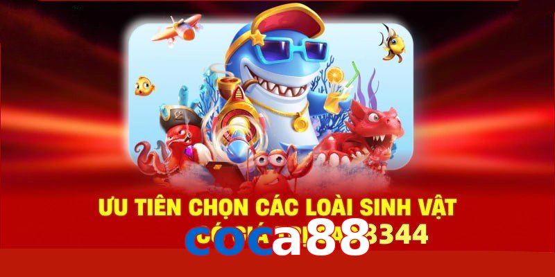 Xem Tướng Gà Chọi - Bí Quyết Chọn Chiến Kê Bất Bại 