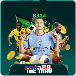 the-thao-coca88