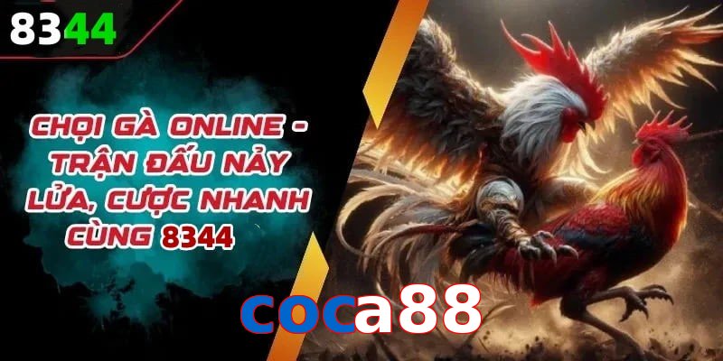 Đá gà coca88 có rất nhiều ưu điểm vượt trội so với sân chơi khác