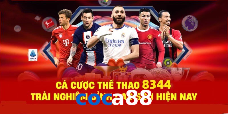 Đá Gà Philippines – Tinh Hoa Truyền Thống Và Thể Thao 